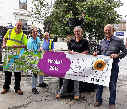 Royal Tunbridge Wells in Bloom - town centre planting
