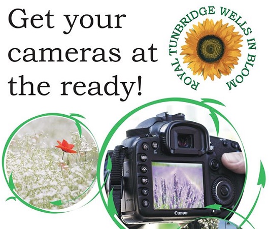 Royal Tunbridge Wells in Bloom - Photo competition 9.7.-13.9.2019