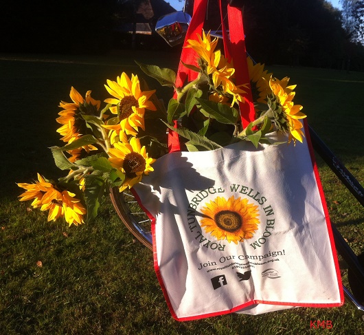 Royal Tunbridge Wells in Bloom - launch 2019 - sunflowers in RTWiB campaign bag