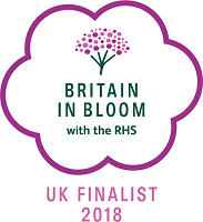 Royal Tunbridge Wells in Bloom - Britain in Bloom finalist